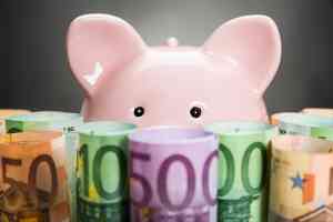 Geldscheine und Sparschwein